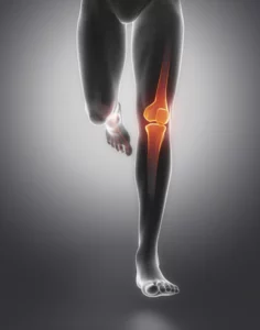 shutterstock_277232012
